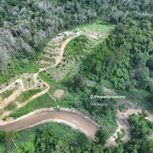 Lenggong Perak 10 acres Musang King Orchard Land For Sale