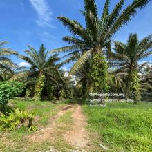 Industrial land for Sale
