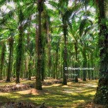 Industrial land for Sale