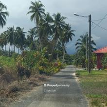 2.9-Acre Coconut Plantation for Rent Near Kukup Golf  7500/year