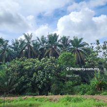 Ban Foo Ulu Tiram Agriculture Land