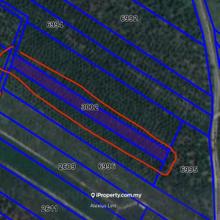 For Sale - 2.39 Acres Agriculture Land @ Mukim Ayer Baloi, Pontian
