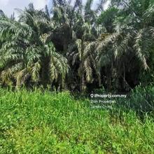 Industrial land for Sale