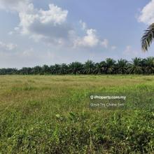 Freehold International lot Kluang Renggam Agi land for sales