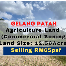 Gelang Patah Agriculture Land Commercial Zoning