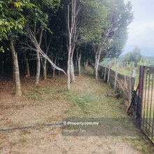 Sri Gading Machap Durian Farm and Agarwood Farm