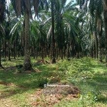 Bandar Aman Jaya Commercial Land For Sale