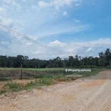 Kesang Land Jasin Durian Tunggal