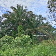 Agriculture Land Along Jalan Kulim - Baling for Sale