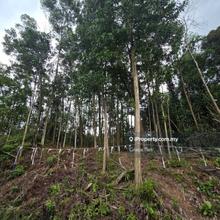 Rare Rectangular Hillside Lot For Sale , Main Road Facing South