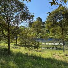 Durian farm for sale