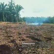Land for rent 