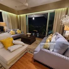 Fully Renovated Unit