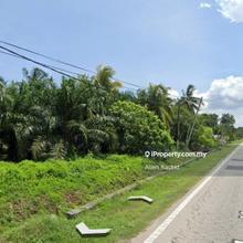 Below Market 1.12 Acres Agricultural Land Assam Jawa, Kuala Selangor