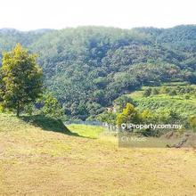 Perak Batu Kurau 28 acres orchard farm land for sale rm 4.2 million 