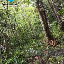 Agriculture land for Sale