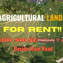 Bdr Sri Sendayan, 3 Acres Agri Land For Rent (Beside Main Road)