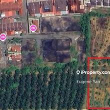 Agriculture land, With durian trees, Next to Taman Liman