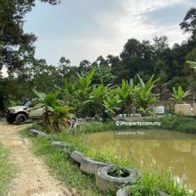 Bentong 6 acre Durian land with pond