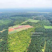 Agriculture land for Sale