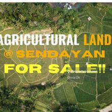 Sendayan 6 Acres Agri Land For Sale (Beside Main Road)