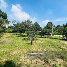 Freehold argriculture land at kampong baru pajam