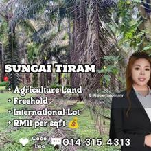 Sungai Tiram @ Freehold Agricultural Land
