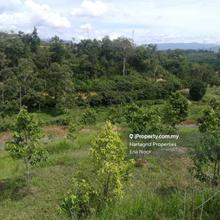 Kuala Pilah Negeri Sembilan Agricultural Land For Sale Iproperty Com My