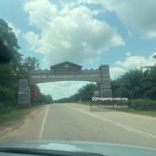965acre Oil Palm Estate in Paloh Kluang 