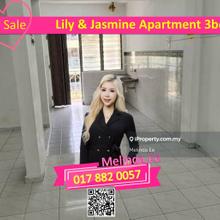 Tampoi Lily & Jasmine Apartment Nice Design 3bed Rm500 Can Buy
