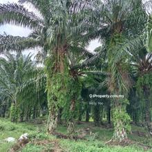 First Grade Residential Land- Taman Sejahtera, Bukit Mertajam for Sale