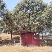 Agriculture Land For Sale
