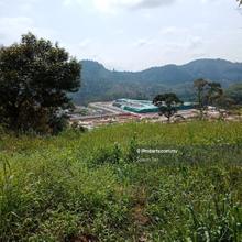 Bentong Durian Orchard Farm can Convert to Industrial Land For Sale 