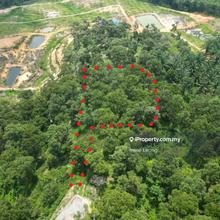 Agriculture land for Sale
