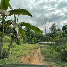 Agriculture land for Sale