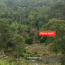 Balik Pulau durian farm Agriculture land for Sale 6.3 Acre
