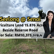 Seelong, Senai, Agriculture Land, 15.876 Acres, Beside Reserve Road