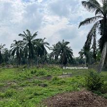 Development Land for Sale @ Tanjong Sepat, Selangor 