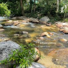 Durian orchard next to a gorgeous river 