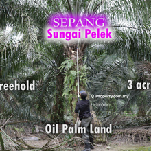 Sepang 3acre Oil Palm Land With Tree