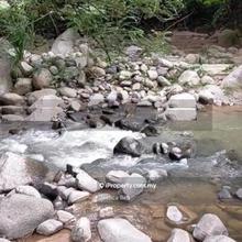 Near river