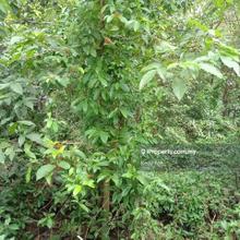 First Grade Industrial Land @ Taman Iks for Sale