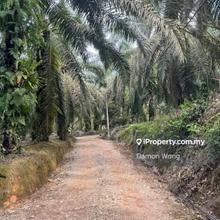 Beaufort Oil Palm Estate With Factory For Sale