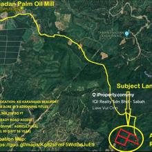 45 Acre Provisional Lease Land Beaufort Oil Palm  For Sale