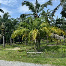 Ampar Tenang , Taman Warisan Hijauan , Dengkil , Sepang 