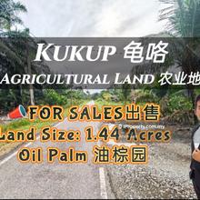 Kukup Road Side Agricultural Land For Sale
