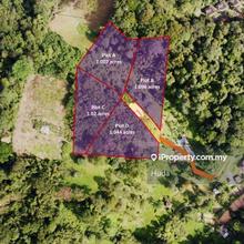 1 acre parcel in Janda Baik Pahang, with adjoing 4 lots