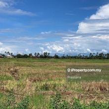 13500 sqft First Grade Lot @ Pmtg Tok Jaya- Rm15/kp