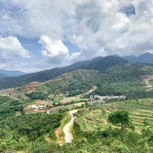 Agriculture land for Sale