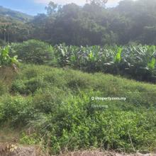Kota Marudu, Sabah, Empty Agricultural land for sale